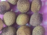 लीची और अनार का जूस (Juice of Lychee and Pomegranate)