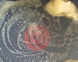Foto del paso 1 de la receta: Cañón de cerdo en salsa de tocineta y champiñones