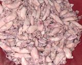Foto langkah ke 1 dari resep Sambal Baby Cumi 🔥.