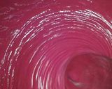 Foto del paso 3 de la receta Bizcocho de color 😍😛