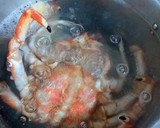 Foto del paso 2 de la receta: Mariscada de crustáceos y centolla rellena