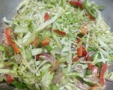 વેજ હકકા નુડલ્સ (Veg Hakka Noodles Recipe In Gujarati) રેસીપી સ્ટેપ2ફોટો