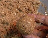 A picture of step 11 of Sattu Alsi Meva Ke Laddoo.