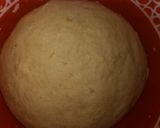 Fish rollmatakin girki1 hoto