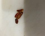 Foto del paso 2 de la receta: Nidos de gulas picantes sobre nidos de bollitos integrales