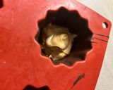 Une image de l'étape 2 de Sucette chocolat Noël.