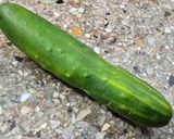 Foto del paso 1 de la receta: 🥒🫙 Tzatziki (salsa / dip griego de pepino y yogurt) 🫙🥒