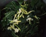 Foto langkah ke 1 dari resep Tumis Bunga dan Daun Pepaya.