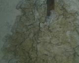 Foto del paso 4 de la receta: Pizza de arvejas napolitana