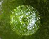 પાલક રોટી (Palak Roti Recipe In Gujarati) રેસીપી સ્ટેપ1ફોટો
