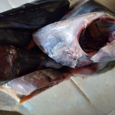Langkah 1