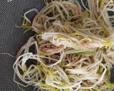 हेल्दी मुग बिन स्प्राऊट साईड डिश (moong bean sprout recipe in marathi) रेसिपी स्टेप 3 फोटो 
