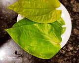 A picture of step 2 of Chocolate Paan.