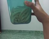Foto langkah ke 7 dari resep Telur Gabus Keju (gurih dan cheesy bangettt).
