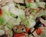 白菜滷(全素)的食譜步驟6照片