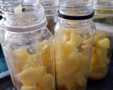 Foto langkah ke 3 dari resep Homemade Probiotic Fermentated Water.