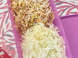 Soto Ayam Lamongan