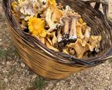 Foto del passaggio 2 della ricetta Finferli saltati con pasta fresca🍄‍🟫🍅🧄🧅🍝