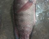 Foto langkah ke 1 dari resep Celimpungan ikan Nila (buat yg alergi seafood).