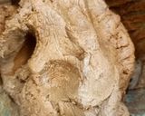 Gambar langkah 4 resipi Biskut Coklat Urai / Choco Rice Cookies Sukatan Cawan.