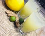 A picture of step 5 of Sweet Mellon juice.