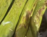 Foto langkah ke 8 dari resep 180. Otak-Otak Ikan.