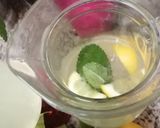 Une image de l'étape 5 de Citronade menthe fraiche citron de menton.