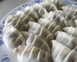 A picture of step 4 of Vegan Tofu Gyoza.