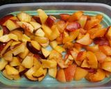 Foto del paso 1 de la receta: Bebida para adultos, durazno con caña