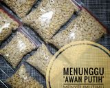 Foto langkah ke 8 dari resep Tempe Homemade.