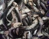 Foto langkah ke 1 dari resep Teri Laut Krispi.