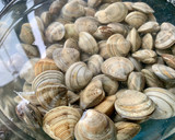 Foto del paso 1 de la receta: Chirlas con ajito y guindilla