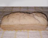 Foto del paso 7 de la receta: Pan de Molde Sin Gluten, Vegano y Súper Fácil🍞🌱🍞
