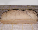 Foto del paso 7 de la receta: Pan de Molde Sin Gluten, Vegano y Súper Fácil🍞🌱🍞