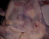 Foto del paso 3 de la receta: Pollo relleno para las "Fiestas"