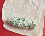 A picture of step 7 of Spinech cheese cigar roll.