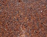A picture of step 2 of Whole Ragi Masala Appe.