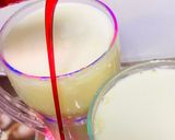A picture of step 4 of Khoya Custard milkshake.