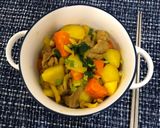 日式咖喱馬鈴薯燉豬肉的食譜步驟4照片