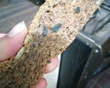 Foto del paso 5 de la receta: Pan bajo en carbohidratos