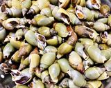 Hình bước làm 1 của món Ốc Cà Na Xào Sả Mắm Tỏi