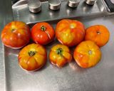 Une image de l'étape 1 de Conserve de concassée de tomates, ail, basilic et oignon blanc.