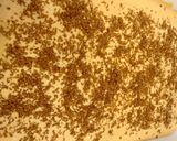 Foto del paso 6 de la receta: Bizcocho de naranja, jengibre y cacahuete