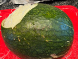 Dulce de cayote