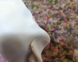 Foto del paso 7 de la receta: Empanadas de carne al horno