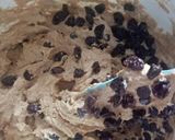 Foto langkah ke 4 dari resep Choco chip cookies with palm sugar ala good time 🍪.