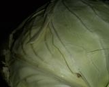 Foto del paso 3 de la receta: Estofado Basma