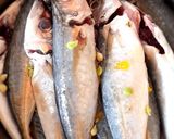 Foto langkah ke 1 dari resep Ikan dencis sarden home made.