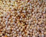 A picture of step 2 of Masala Chana.