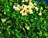 A picture of step 4 of Creamy Pumpkin Soup with Chimichurri and Sourdough Croutons: The Ultimate Comfort Dish by TastyPinch.